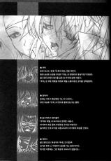 (C70) [Synthetic Garden (Miwa Yoshikazu)] Rancid Lovers #2 (Summon Night 3) [Korean]-(C70) [Synthetic Garden (美和美和)] Rancid Lovers #2 (サモンナイト3) [韓国翻訳]