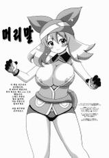 (SC57) [Haguruman (Koutarosu)] Harukabon | 하루가 책 (Pokémon) [Korean] [KYR]-(サンクリ57) [はぐるまん (コウタロス)] ハルカボン (ポケットモンスター) [韓国翻訳]