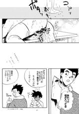 [Chirigami Goya, Fusuma Goten (Shoji Hariko, Kuri)] Wakayo (Dragon Ball GT)-[ちり紙小屋、ふすま御殿 (障子張子、栗)] 若葉 (ドラゴンボールGT)