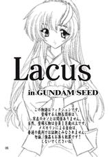 [Studio Q] Lacus [Gundam Seed]-