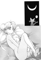 Subete Wa Yume No Sei Ni Sureba II [Sailor Moon]-