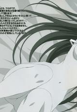 Tsukihime - Tsukihimegoto Eros - Level I Soft-