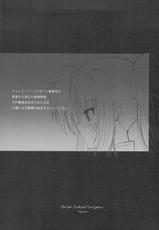 [Dieppe Factory] FATE FIRE WITH FIRE BOOK 2 (nanoha)(C75)-