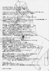 [SYU MURASAKI - HOOLIGANISM] Exhibition - File 14 DX6-