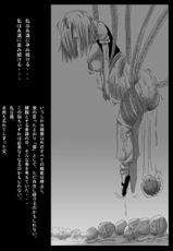 [Miracle Ponchi Matsuri (Basara)] DRAGON ROAD 2 (Dragon Ball Z)-[ミラクルポンチ祭り (ばさら)] DRAGON ROAD 2 (ドラゴンボールZ)