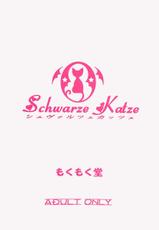 (SC16) [Moku Moku Dou (Hitachi Ken-naru)] Schwarze Katze (Pita-Ten)-(サンクリ16) [もくもく堂 （常盤兼成）] Schwarze Katze (ぴたテン)