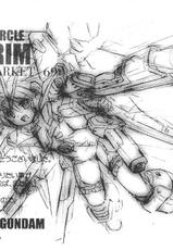 [Passing Rim (CO2A)] Metal Shot Try 3 (Kidou Senshi Gundam SEED DESTINY)-