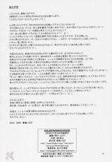Gundam Seed Destiny - BURNING!! 02 [English]-