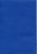 [Lapis Lazuli] Ruridou Gahou CODE 19 (DOAX)-