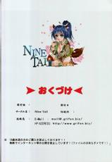 Ninetail Project M + a-