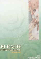 Bleach - Rain Ends-