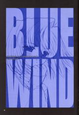 BlueWind-