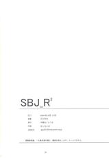 (C66) [Gakuen Hanimokuo (Shinonome Maki)] SBJ_R^3 (Super Black Jack)-(C66) [学園はにもくお (東雲舞樹)] SBJ_R^3 (スーパーブラックジャック)