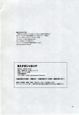 (C77) [Aihara Otome] Miesugi Janai (Neon Genesis Evangelion)-(C77) [相原乙女] 見えすぎじゃない! (新世紀エヴァンゲリオン)