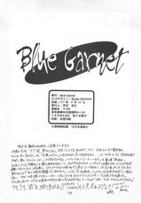 [BLUE GARNET] Blue Garnet Vol.03 (Street Fighter ZERO)-[BLUE GARNET] Blue Garnet Vol.03 散桜 (ストリートファイターZERO)