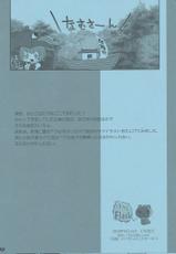 (C78) [Kumatan Flash!] Moto Souryo no Nikuyo Seppou (C78 Omake Book) (Touhou Project)-(C78) [くまたんflash!]元僧侶のにくよく説法 (c78おまけ本) (東方)