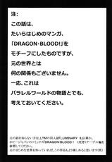 (C78) [LTM (Taira Hajime)] Nise Dragon Blood! 17.5-(C78) [LTM（たいらはじめ）] ニセ DRAGON・BLOOD！17.5