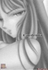 [Momoiro Rip (Sugar Milk)] Gardenia (Saint Seiya)-[ももいろリップ (シュガーミルク)] Gardenia (聖闘士星矢)