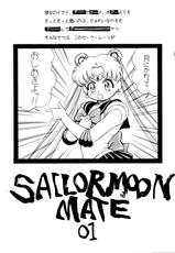 [Monkey Reppuutai] Sailor Moon Mate 01-[モンキー烈風隊] SAILOR MOON MATE 01 (セーラームーン)