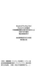 (C77) [Hapoi-dokoro (Okazaki Takeshi)] Bluebird (Neon Genesis Evangelion) (Chinese)-(C77) [はぽい処 (岡崎武士)] ブルーバード (新世紀エヴァンゲリオン) (中文)