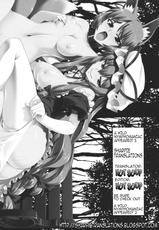 (C81) [angelphobia (Tomomimi Shimon)] Yasei no Chijo ga Arawareta! 3 | A Wild Nymphomaniac Appeared! 3 (Touhou Project) [English]-(C81) [angelphobia] やせいのちじょがあらわれた!3 (東方Project) [英訳]