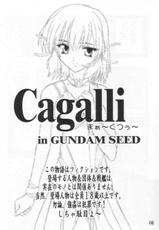 (SC21) [Studio Q (Natsuka Q-Ya)] Cagalli Mark 2 (Mobile Suit Gundam SEED)-(サンクリ21) [すたぢおQ (奈塚Q弥)] Cagalli まぁ～くつぅ～ (機動戦士ガンダムSEED)