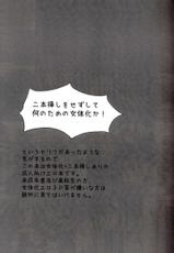 [Reflection] Torikago no Naka no Himegimi (Code Geass) [English] [kusanyagi]-[Reflection] 鳥かごのなかの姫君 (コードギアス) [英訳]
