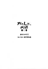 (C73) [Shiawase Kyouwakoku (Shiawase no Katachi)] Katashibu week 15 [Chinese]-(C73) (同人誌) [幸せ共和国] かたしぶっ15週 (漢化)
