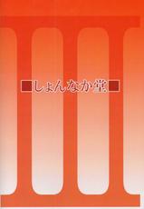 (C81) [Shonnaka-dou (Mitsurugi Ken)] 3 Ane ga Suki Demo Ii Janai (Mahou Shoujo Lyrical Nanoha)-(C81) [しょんなか堂 (御剱剣)] 3姉が好きでもいいじゃない (魔法少女リリカルなのは)