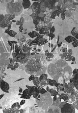 [ROCK&#039;N&#039;DOLLESS (Himemiko)] Arcadia (Code Geass) [ENG]-[ＲＯＣＫ&rsquo;Ｎ&rsquo;ＤＯＬＬＥＳＳ (ヒメミコ)] Arcadia (コードギアス)