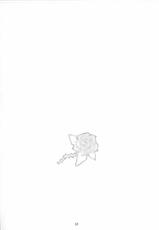 (C69) [kaitai-ya (Various)] R.R. Zero 2 (Rumble Roses)-(C69) [解体屋 (色々)] R.R.ZERO 2 (ランブルローズ)