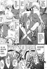 (C80) [BLACK DOG (Kuroinu Juu)] YELLOW TEMPERANCE (Bishoujo Senshi Sailor Moon) [Korean] [발번역가 DMC]-(C80) [BLACK DOG (黒犬獣)] YELLOW TEMPERANCE (美少女戦士セーラームーン) [韓国翻訳]