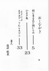 [Various] Shinobu Akira Kojinshi 2 (AXS)-[AXS] 篠部秋良個人誌 2