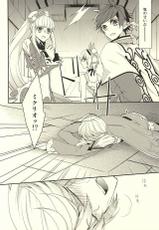 (Tales Saien 40) [Gatekeeper (Sasaki Kisara)] Sorey ni wa Shuuchishin ga Kakete Iru! (Tales of Zestiria)-(テイルズ菜園40) [げーときーぱー (佐々木きさら)] スレイには羞恥心が欠けている! (テイルズ オブ ゼスティリア)