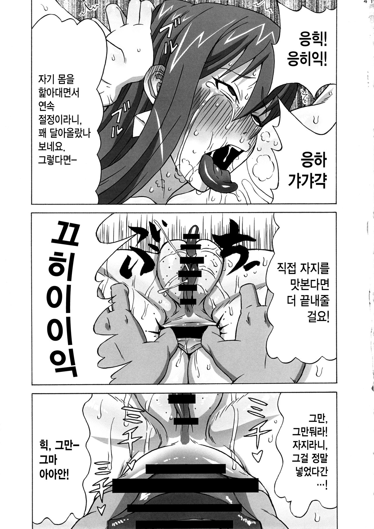 (COMIC1☆8) [BooBooKid (PIP)] Erza-san o Choukyou Shite mita. (Fairy Tail) [Korean] [MMG] (COMIC1☆8) [ブーブーキッド (PIP)] エルザさんを調教してみた。 (フェアリーテイル) [韓国翻訳]