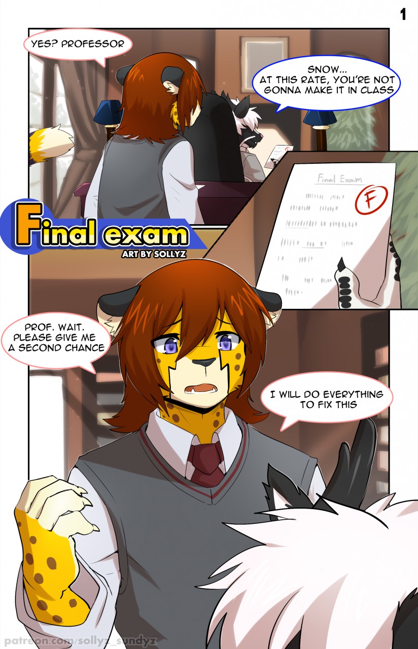 [Sollyz] Final exam 