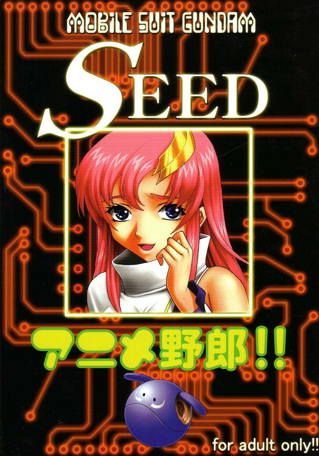 [St. Rio] Seed Phase 04 [Gundam Seed] 