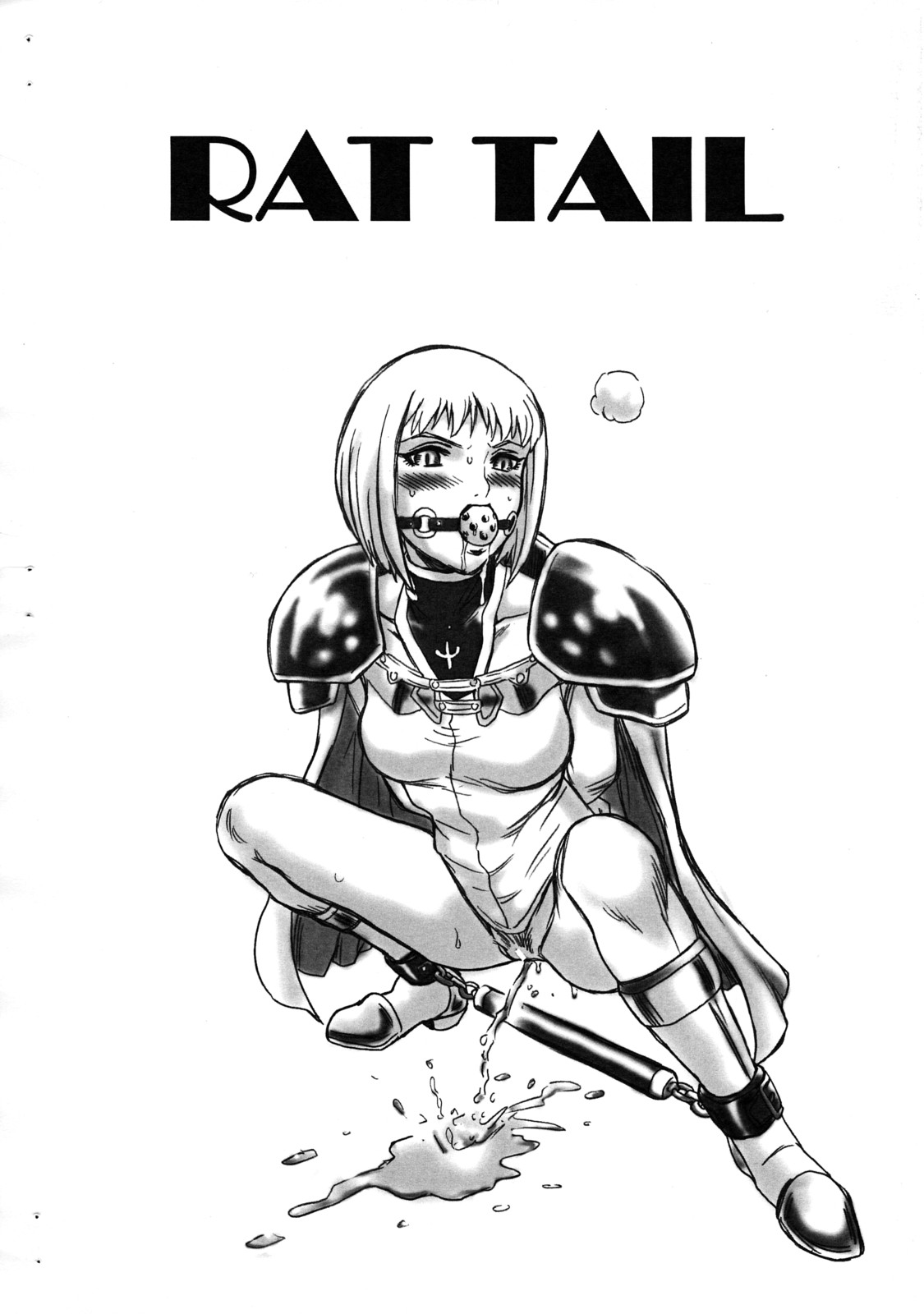 [RAT TAIL (Irie Yamazaki)] Claymore File (claymore) 
