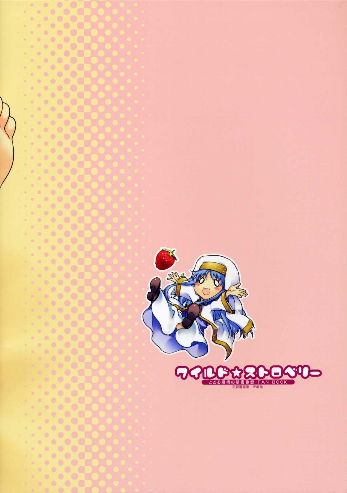 (C76)[Renai Mangaka (Naruse Hirofumi)] Wild Strawberry (Toaru Majutsu no Index) (C75)[恋愛漫画家 (鳴瀬ひろふみ)] ワイルド☆ストロベリー (とある魔術の禁書目録	)