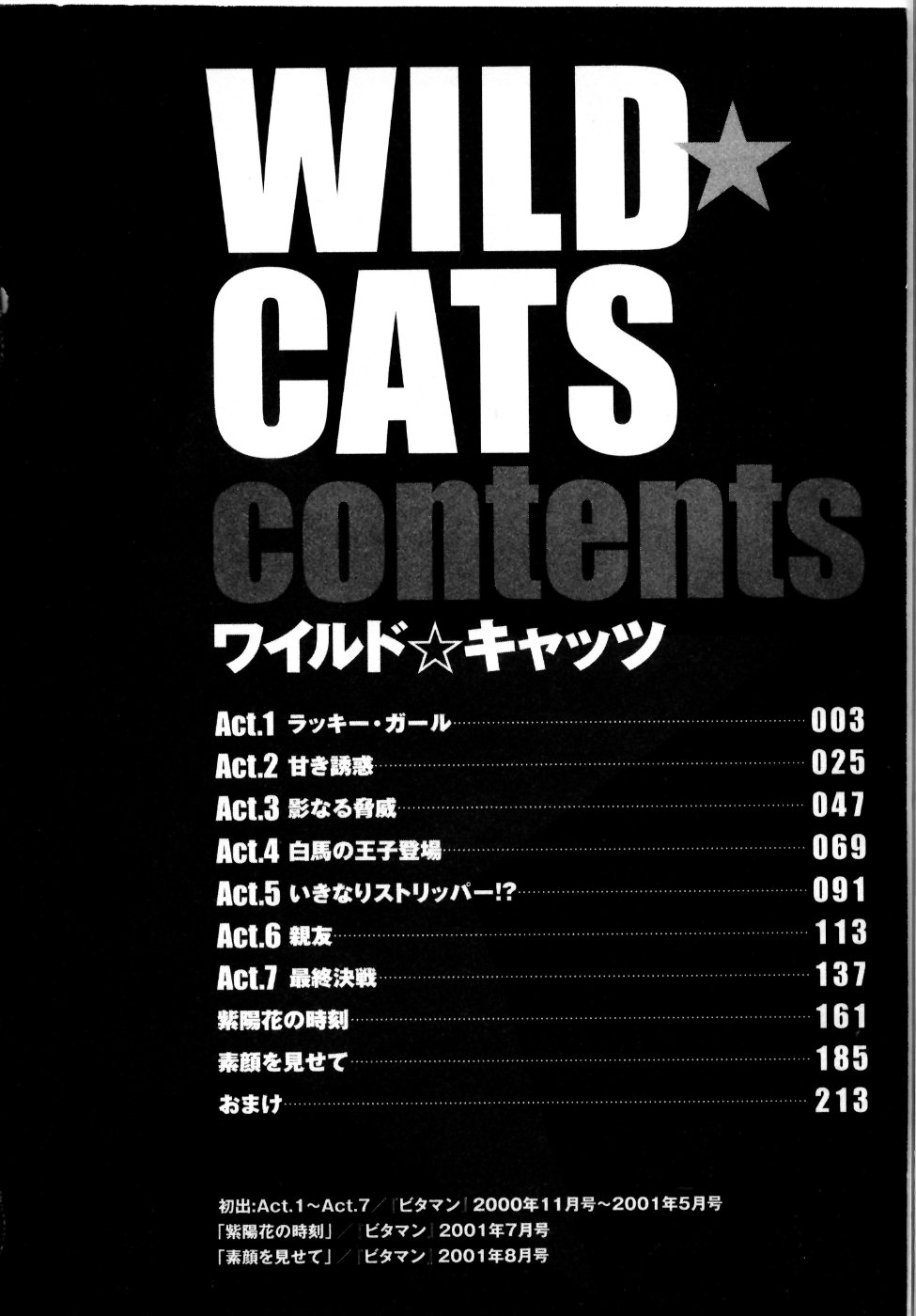 Takumi Kobayashi - Wild Cats 