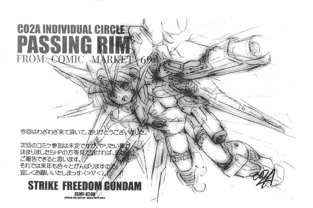 [Passing Rim (CO2A)] Metal Shot Try 3 (Kidou Senshi Gundam SEED DESTINY) 