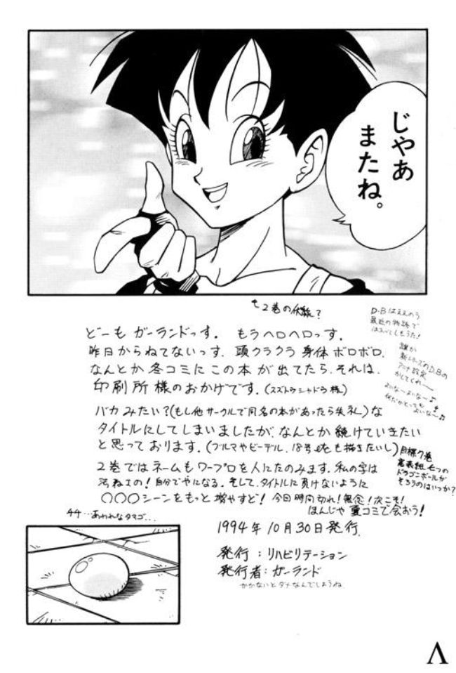 Dragon Ball - Go! Go! Videl! completed 