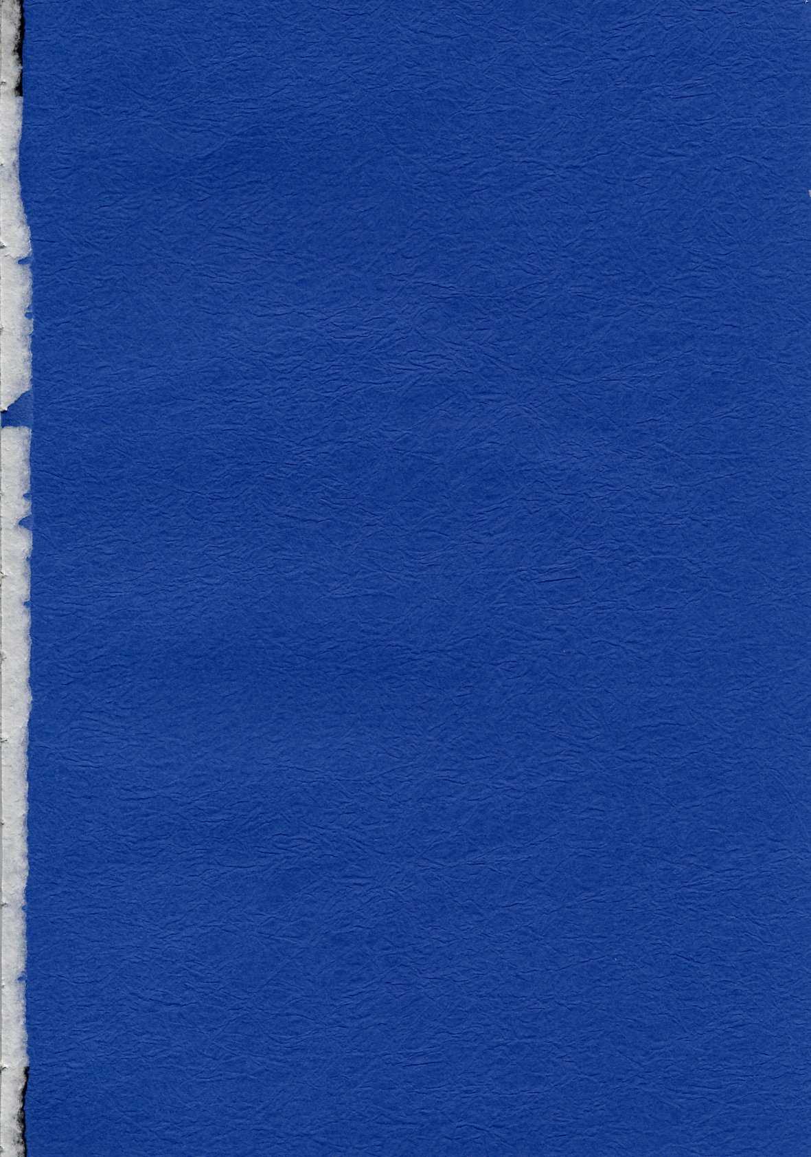 [Lapis Lazuli] Ruridou Gahou CODE 19 (DOAX) 