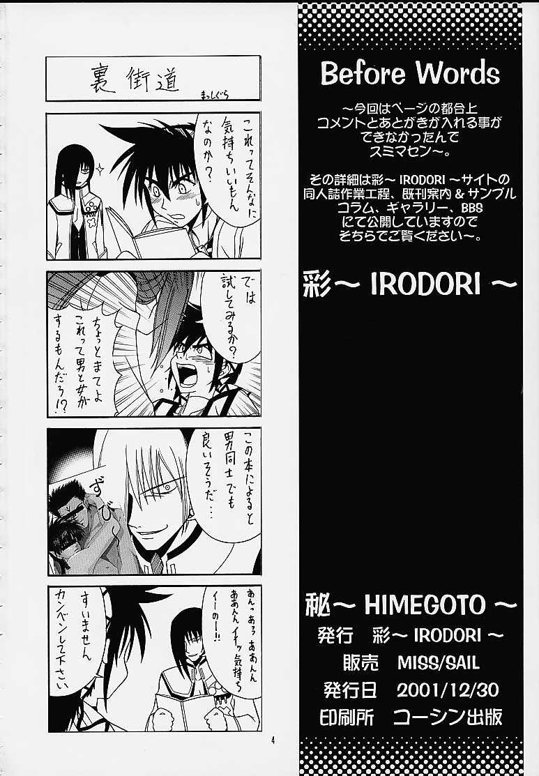 [IRODORI (SOYOSOYO)] Himegoto (Vandread) [彩～IRODORI～ (そよそよ)]  秘 [ヴァンドレッド]
