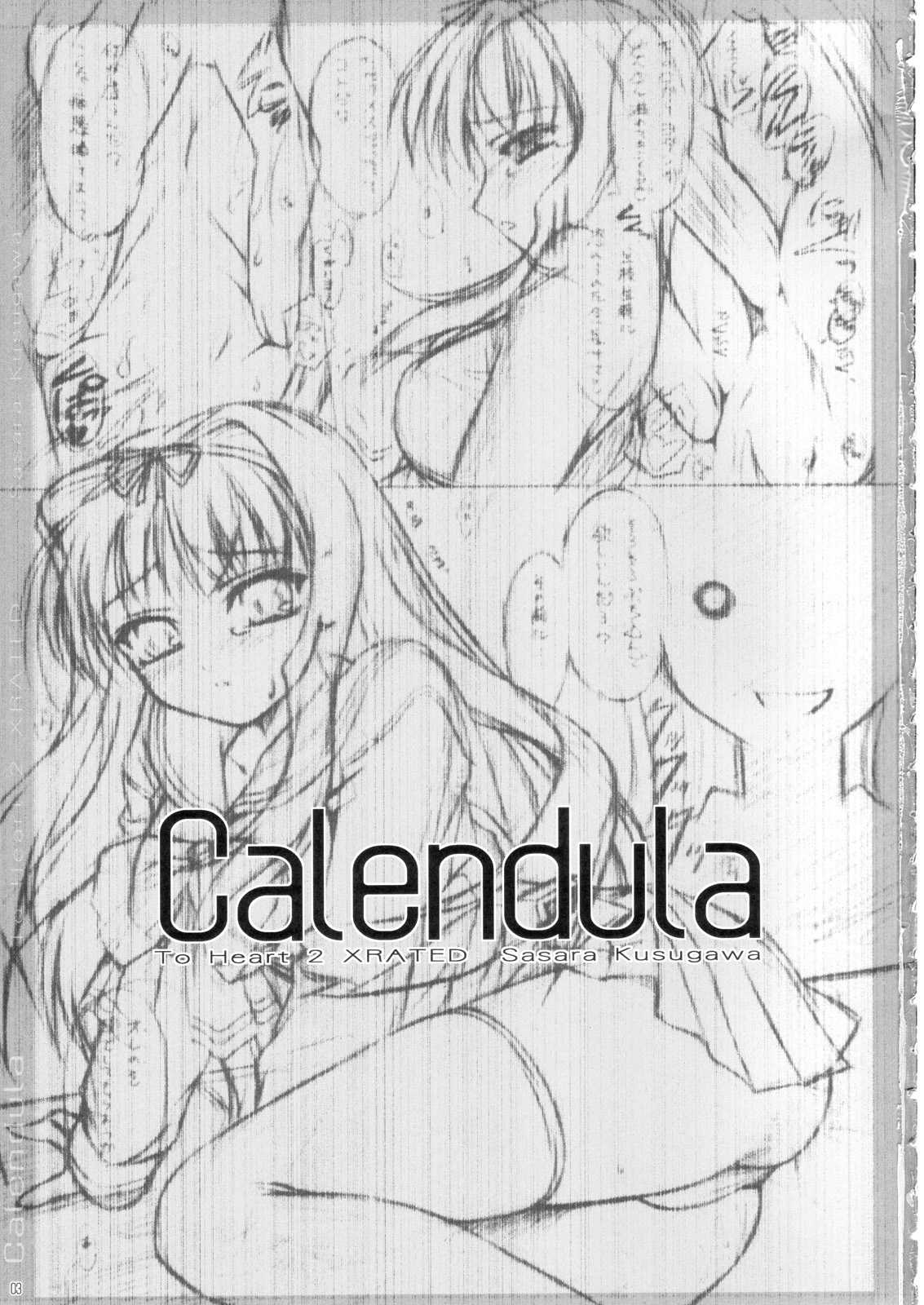 (C70)[[Yakan Hikou (Inoue Tommy)] Calendula (ToHeart 2) (C70)[夜間飛行 (いのうえとみい)] Calendula (トゥハート 2)