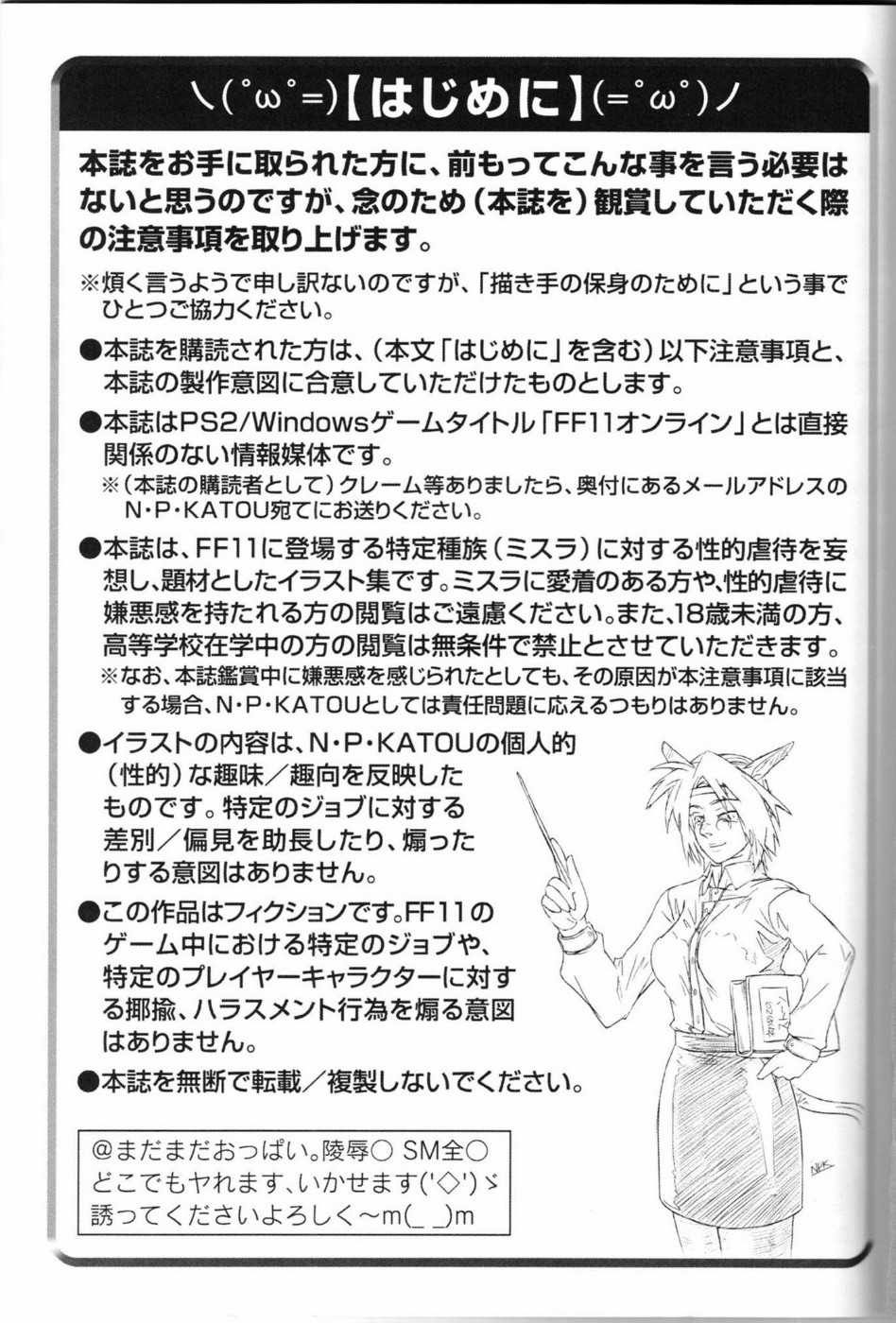Mithman Report (Final Fantasy XI) 
