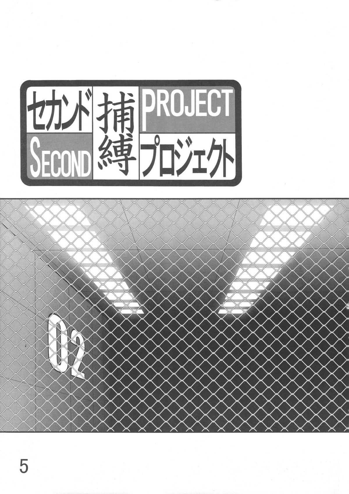 Second Hobaku Project 01 [SAATEISAIBAASUTORIITO 2D SHOOTING] 