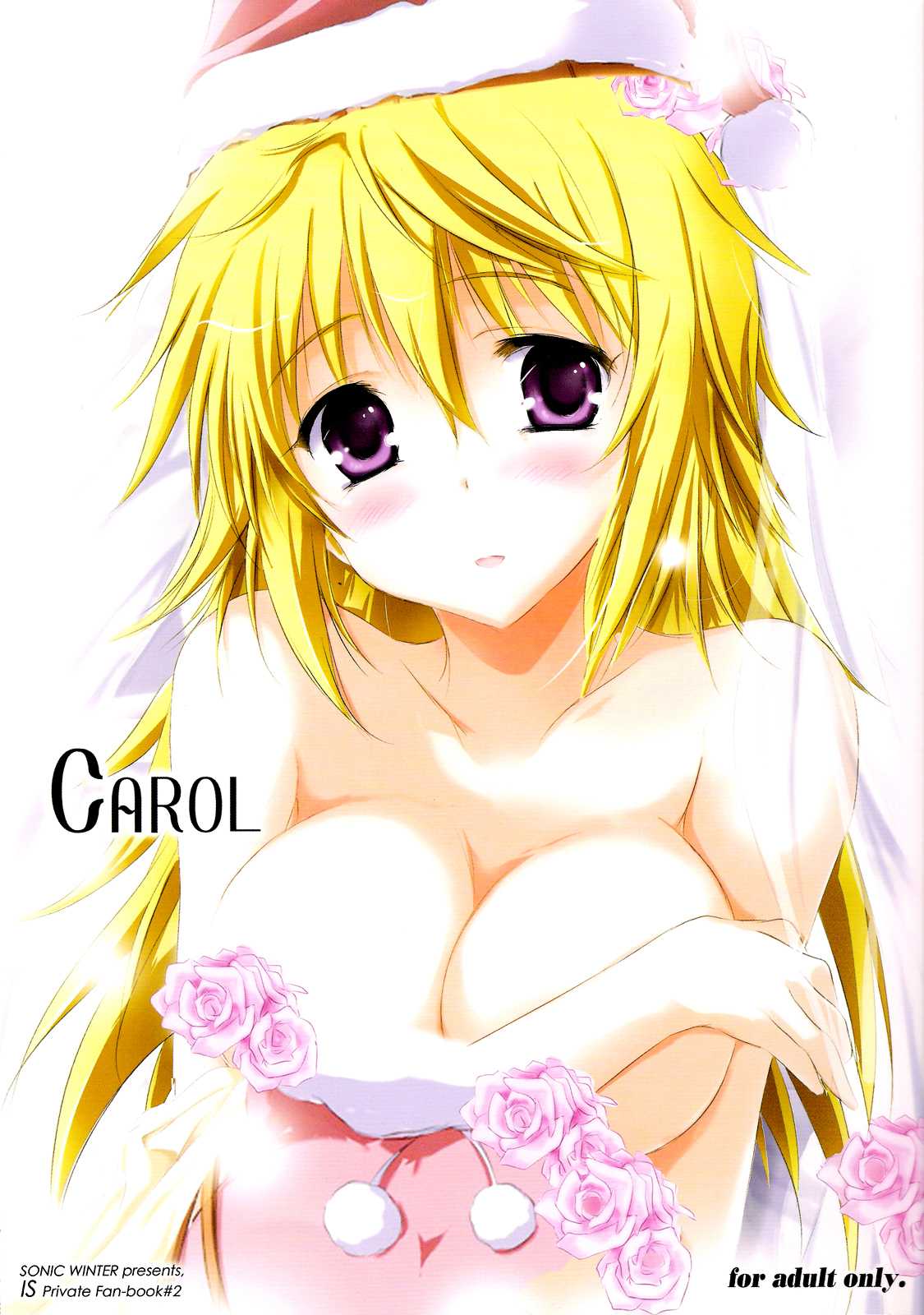 (C81) [SONIC WINTER (Tsukishima Kai)] Carol (Infinite Stratos) [English] (C81) [SONIC WINTER (月島改)] Carol (インフィニット・ストラトス) [英訳]