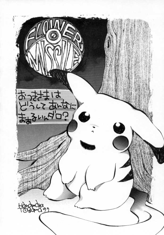 [PONPALAS (Togawa Hanamaru)] Pokemon Junky (Pokemon) [PONPALAS (戸川花丸)] POKEMON JUNKY (ポケモン)