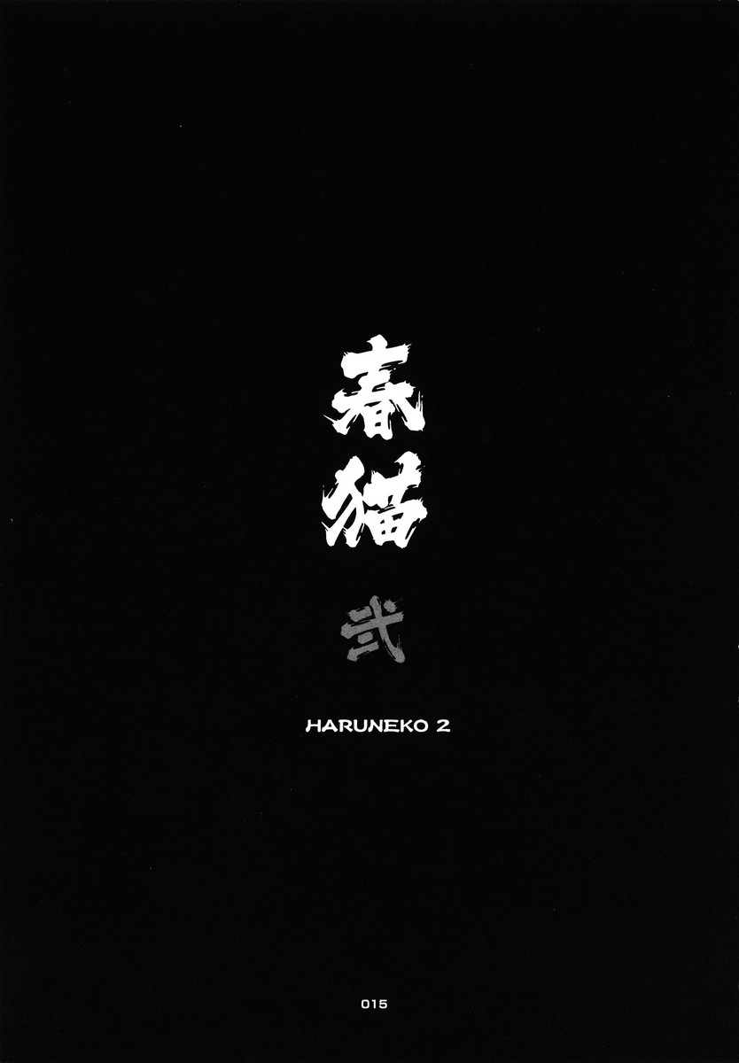 (C78) [Chibineco Honpo (Chibineco Master)] HARUNEKO 2 [English] (C78) [ちびねこ本舗 (ちびねこマスター)] 春猫 弐 [英訳]